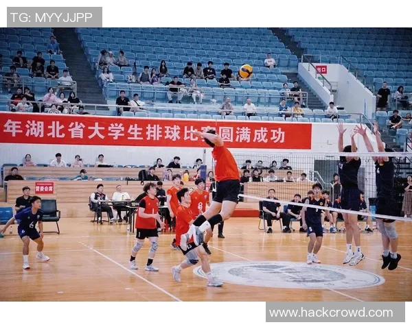 武汉排球队个人能力提升的热议与未来发展探讨